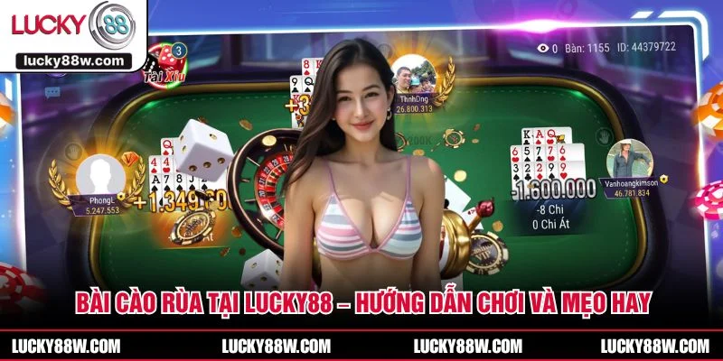 Bài Cào Rùa Tại LUCKY88 – Hướng Dẫn Chơi Và Mẹo Hay